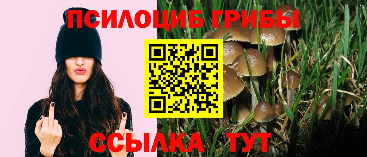 Псилоцибиновые грибы Psilocybine cubensis  где можно купить наркотик  Ипатово  Псилоцибиновые грибы мухоморы 